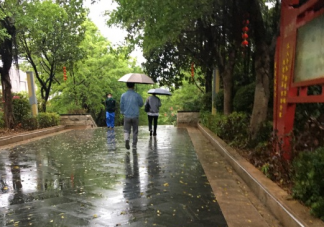2021第一场春雨心情说说  第一场春雨发朋友圈唯美句子