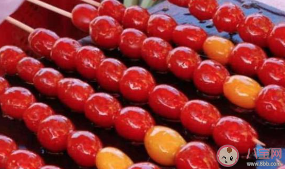 古代时冰糖葫芦只有山楂味的吗 蚂蚁庄园2月20日答案 古代时冰糖葫芦只有山楂味的吗 蚂蚁庄园2月20日答案