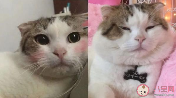 累丑的原因是什么 压力大会变丑吗