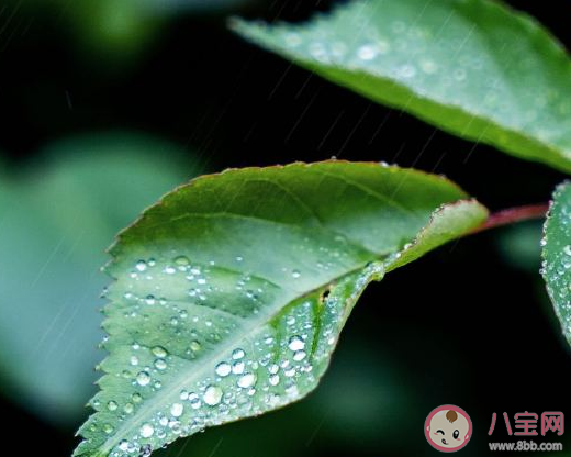 你好春天发朋友圈说说 春天到来了唯美心情文案
