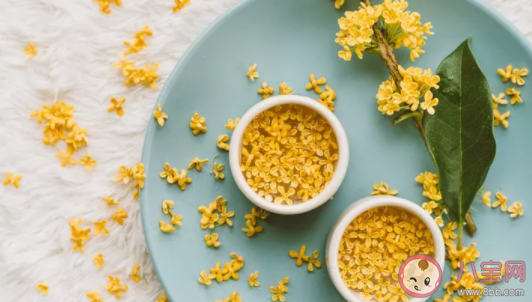 何须浅碧深红色自是花中第一流是什么花 蚂蚁庄园2月21日答案