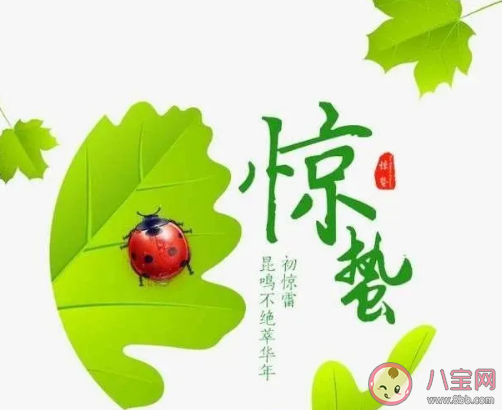 2021惊蛰节气带字祝福语大全 惊蛰节气微信问候语句子