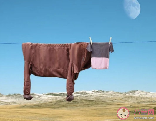 关于春日的阳光唯美句子 春天暖阳的心情说说 关于春日的阳光唯美句子 春天暖阳的心情说说