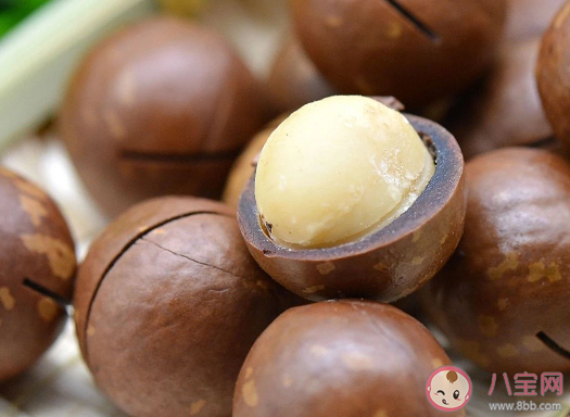 为什么夏威夷果吃起来有一股奶油味 夏威夷果的口子是怎么加工出来的 为什么夏威夷果吃起来有一股奶油味 夏威夷果的口子是怎么加工出来的