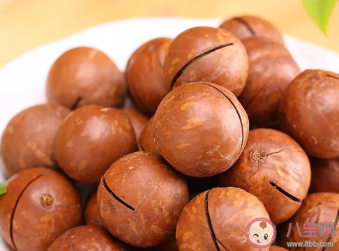 为什么夏威夷果吃起来有一股奶油味 夏威夷果的口子是怎么加工出来的 为什么夏威夷果吃起来有一股奶油味 夏威夷果的口子是怎么加工出来的