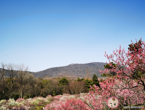 关于早春的心情说说 早春到了发朋友圈句子