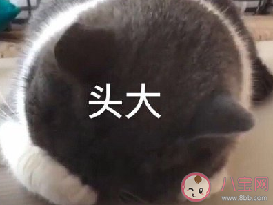 家长对孩子的迷之自信行为盘点 长辈夸人能有多夸张