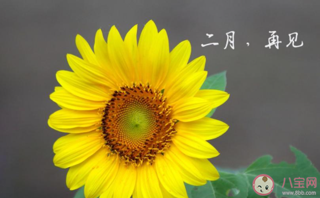 2021二月再见三月你好的朋友圈说说句子 2021再见二月你好三月的心情语录大全