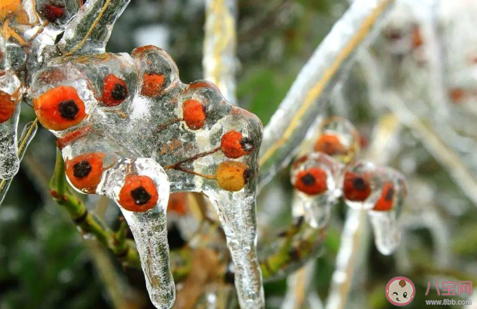 2021会有倒春寒吗 倒春寒天气一般发生在什么时候