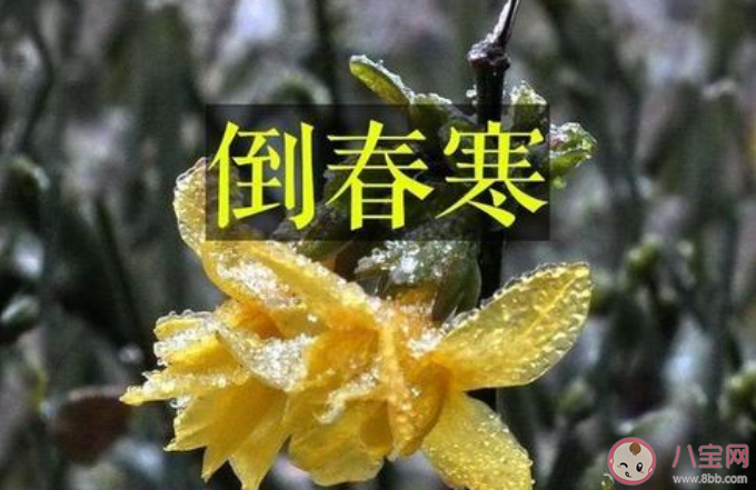 2021会有倒春寒吗 倒春寒天气一般发生在什么时候