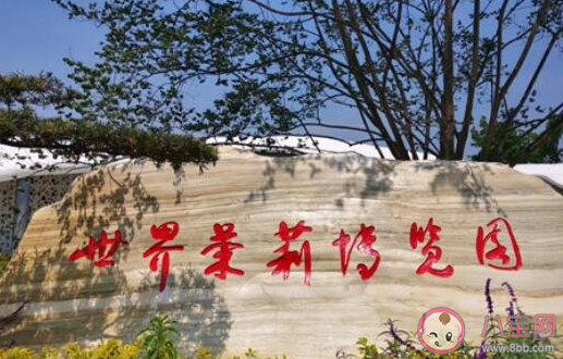 四川单向透明厕所在哪 透明厕所的作用是什么