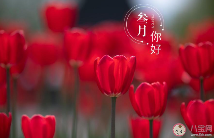 3月第一天早安心语图片说说 3月第一天早上好问候语带图