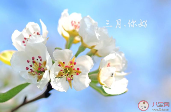 3月第一天早安心语图片说说 3月第一天早上好问候语带图