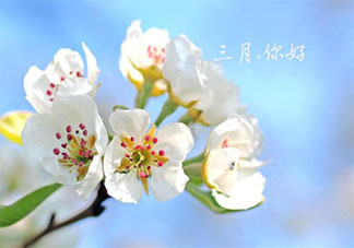 3月第一天早安心语图片说说 3月第一天早上好问候语带图