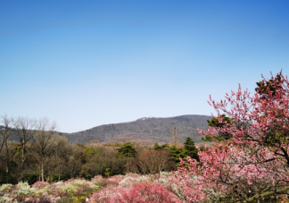 关于早春的心情说说 早春到了发朋友圈句子