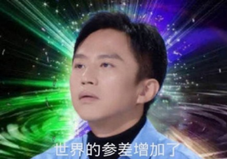 世界的参差是什么梗什么意思 世界的参差出自哪里