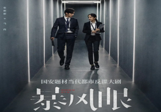 电视剧《暴风眼》什么播出更新 《暴风眼》结局是什么