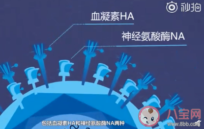 全球首次发现人感染H5N8型禽流感病毒是怎么回事 H5N8型禽流感病毒有什么危害