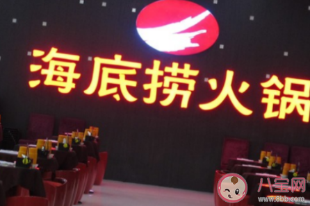 海底捞练习生是什么意思 海底捞练习生是什么梗