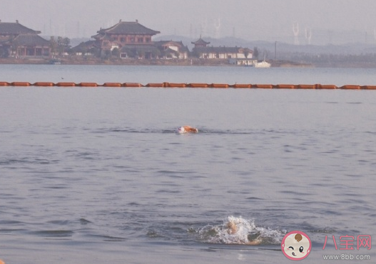 适合好天气发朋友圈心情短语说说 好天气唯美简短语录大全