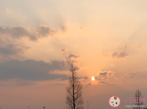 适合好天气发朋友圈心情短语说说 好天气唯美简短语录大全