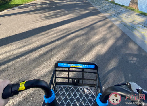 关于东湖绿道骑车说说 去东湖绿道骑车发朋友圈文案。