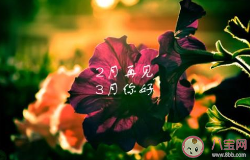 最新2月再见3月你好文案说说句子 2月再见3月你好朋友圈文案