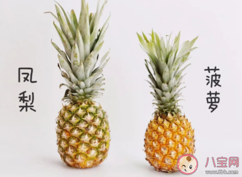 凤梨没熟可以放着变熟吗 凤梨没熟能不能吃