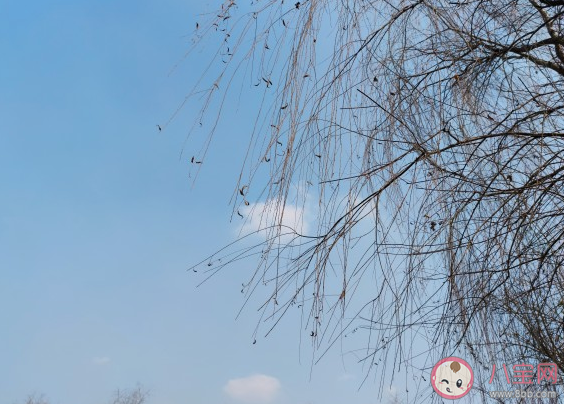 2021三月第一天发朋友圈的心情说说 三月第一天唯美短句句子