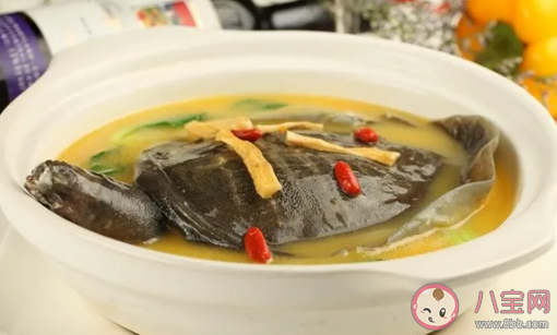 甲鱼汤怎么做更有滋补的作用 吃甲鱼有哪些禁忌