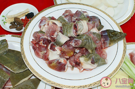 甲鱼汤怎么做更有滋补的作用 吃甲鱼有哪些禁忌