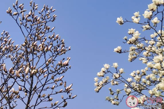 去野餐发朋友圈的文案短句 野餐很开心的心情句子