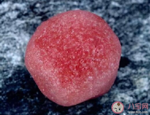 南极又出现西瓜雪是怎么回事 西瓜雪是怎么形成的意味着什么