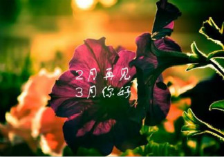 最新2月再见3月你好文案说说句子 2月再见3月你好朋友圈文案