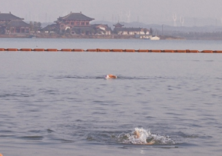 适合好天气发朋友圈心情短语说说 好天气唯美简短语录大全