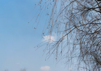 2021三月第一天发朋友圈的心情说说 三月第一天唯美短句句子