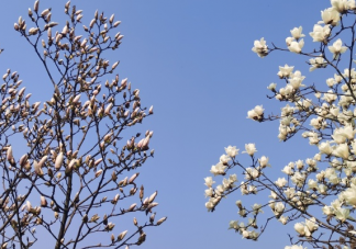 去野餐发朋友圈的文案短句 野餐很开心的心情句子