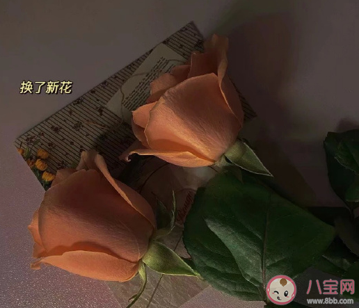 2021三月来了发朋友圈说说 三月来了心情文案大全 2021三月来了发朋友圈说说 三月来了心情文案大全