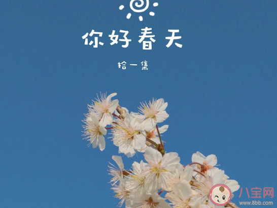 春天赏花发朋友圈文案句子 春天赏花唯美心情句子 春天赏花发朋友圈文案句子 春天赏花唯美心情句子