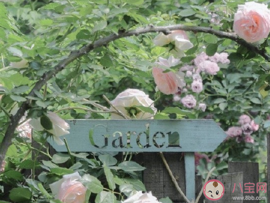 2021到了怎么发朋友圈 三月到了鼓励自己正能量句子