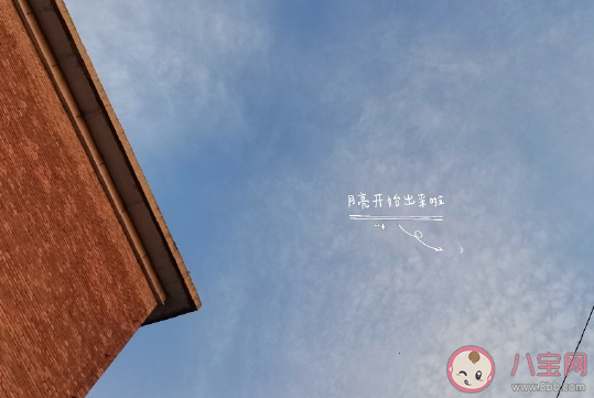 2021到了怎么发朋友圈 三月到了鼓励自己正能量句子