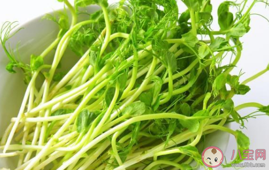 清炒豌豆苗需要焯水了再吃吗 豌豆苗需要烫多久吃