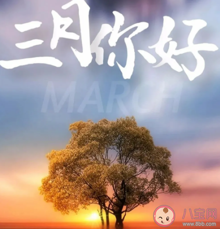 2021三月了早安心语文艺说说 三月请对我好点发朋友圈句子