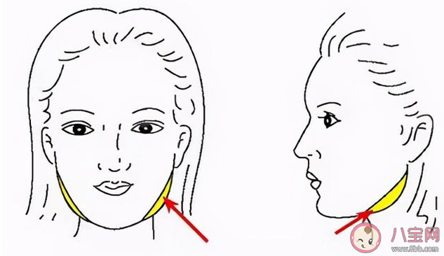 为什么人年纪大了会发腮 预防发腮简单易学的按摩操