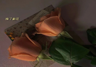 2021三月来了发朋友圈说说 三月来了心情文案大全