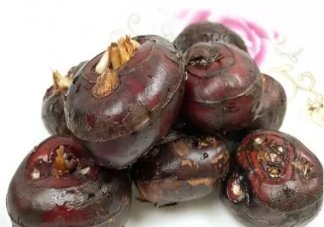 吃荸荠有哪些好处和坏处 荸荠吃多了会怎么样