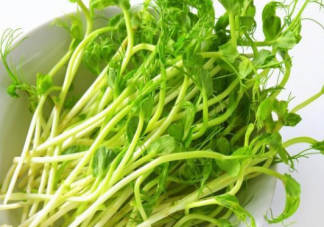 清炒豌豆苗需要焯水了再吃吗 豌豆苗需要烫多久吃