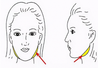 为什么人年纪大了会发腮 预防发腮简单易学的按摩操
