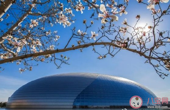 2021三月请善待我发朋友圈文案 新的三月创意文案大全