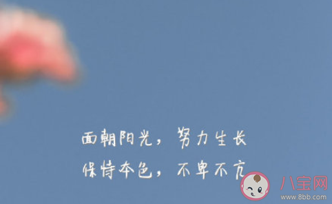 我们需要什么样的家庭教育 言传身教的家庭教育是怎样的